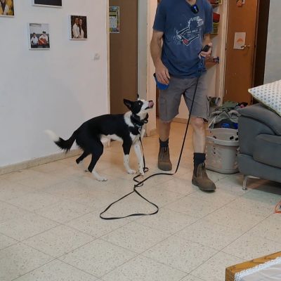 VideoCapture_20240523-205634