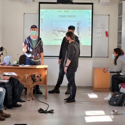 סדנאות והרצאות אילוף